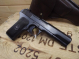Tokarev TT33