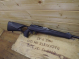 Blaser R8 Success Links