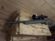 Ruger American Rifle Predator